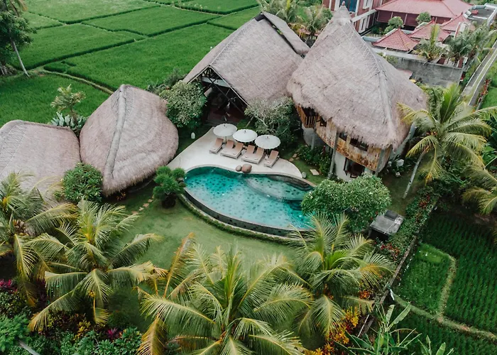 Villa Omah Padi By Adam Jyota Management